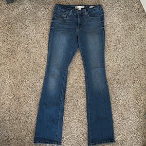 Gloria Vanderbilt Straight Leg Jeans Size 6